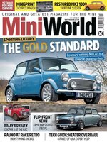 MiniWorld